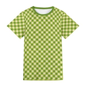 <span class="stc" style="color:#b0e2d7">T shirt</span><br>Tシャツ<br><span class="stb">(ギンガムチェック : ライムグリーン)</span>